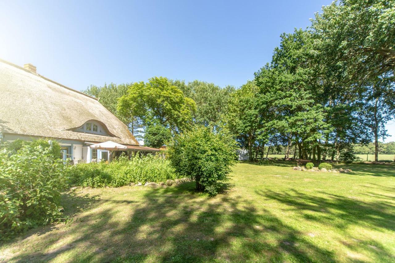 Ferienwohnungen Im Reetdachhaus Ummanz Buitenkant foto